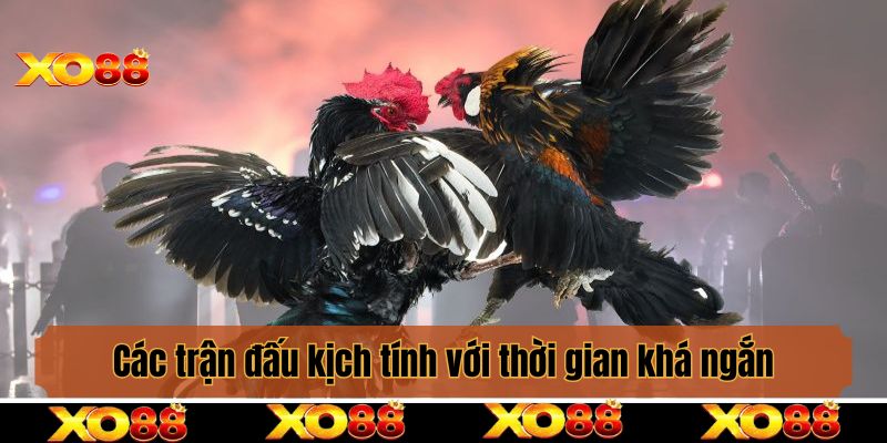 Các trận đấu kịch tính với thời gian khá ngắn