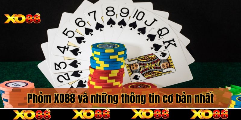 Phỏm và những thông tin cơ bản nhất