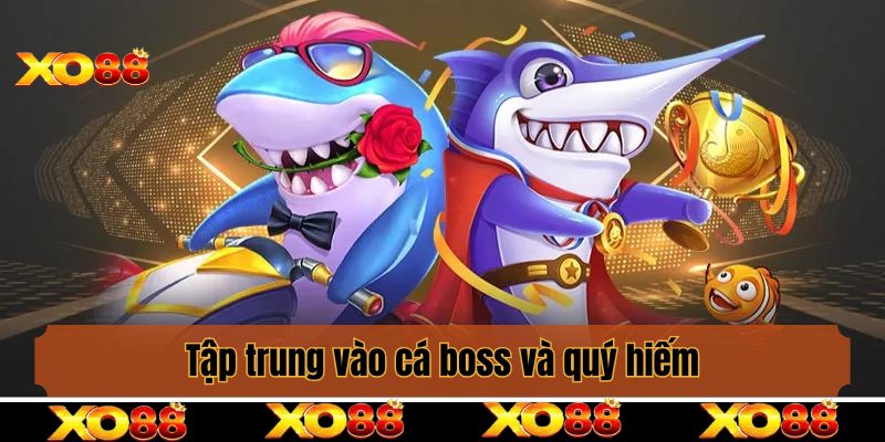 Tập trung vào cá boss và quý hiếm
