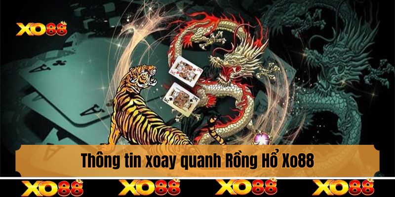 Thông tin xoay quanh Rồng Hổ Xo88