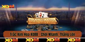 Trắc Kim Hoa XO88 - Phương Pháp Giúp Chơi Nhanh, Thắng Lớn