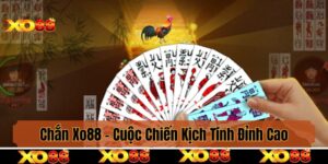 Trải Nghiệm Ngay Chắn Xo88 - Cuộc Chiến Kịch Tính Đỉnh Cao!