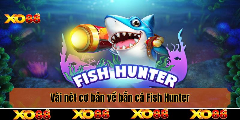 Vài nét cơ bản về bắn cá Fish Hunter mọi người cần nắm