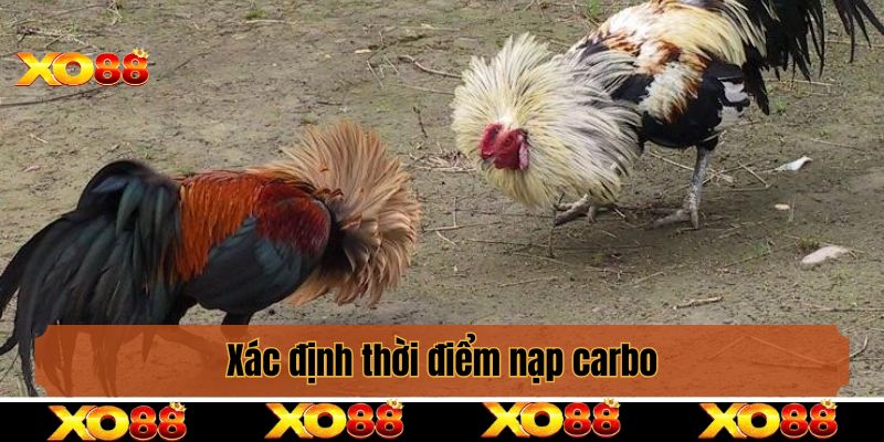 Xác định thời điểm nạp carbo